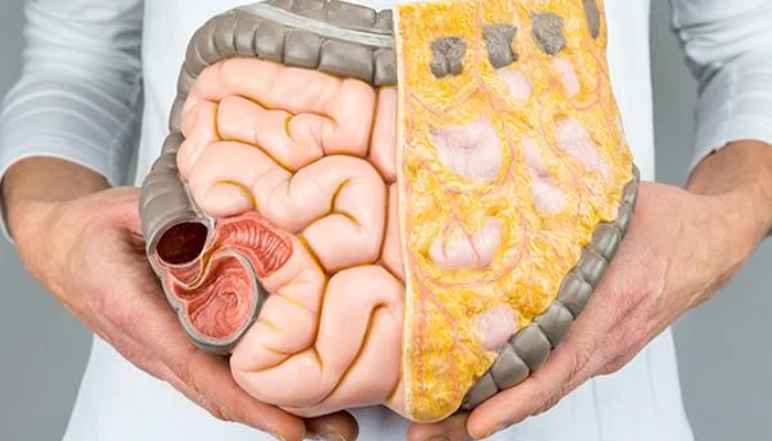 Dahiliye Hangi Hastalıklara Bakar